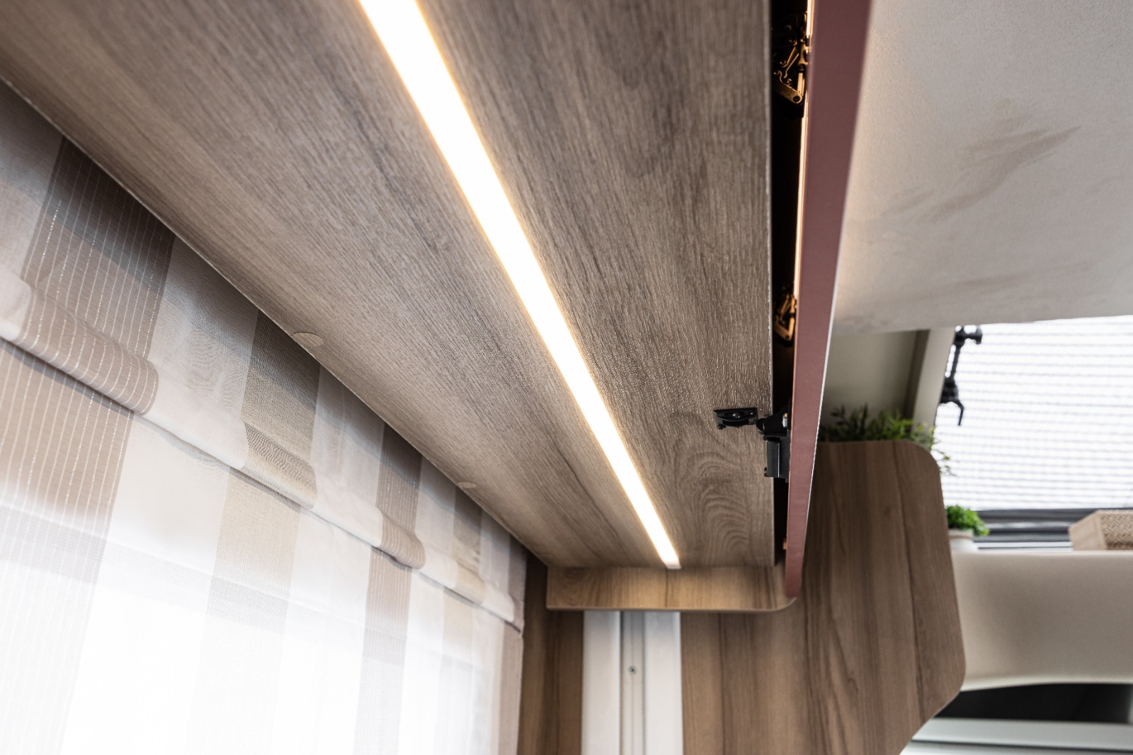 Vista desde la entrada